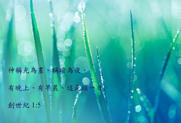 Here is an optimized description of your image, following the instructions to provide a concise alt text along with a reph...